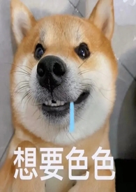 当她的狗(青梅竹马1V2向)全文阅读
