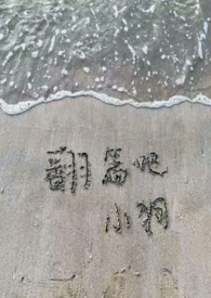 金主爸爸们也需要竞聘上床(NPH)全文阅读