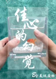 佳心的幻觉(1v1)(妓女和嫖客)全文阅读