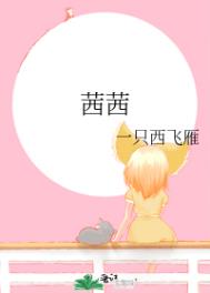 茜茜全文阅读