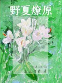 野夏燎原全文阅读