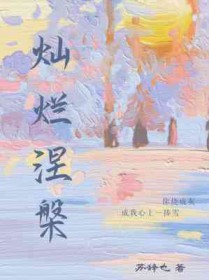灿烂涅槃全文阅读