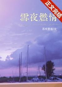 雪夜燃情全文阅读