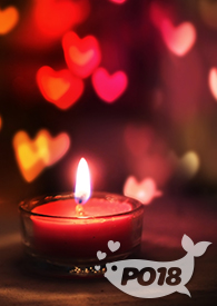 东京情欲流【灌篮高手ooc 同人】全文阅读