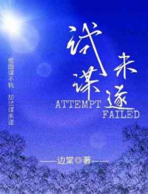 试谋未遂全文阅读