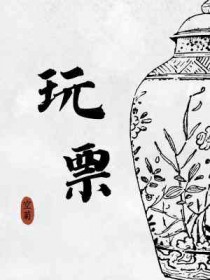 玩票全文阅读