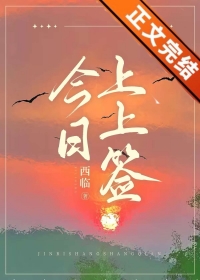 今日上上签全文阅读