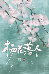 杨花落尽全文阅读
