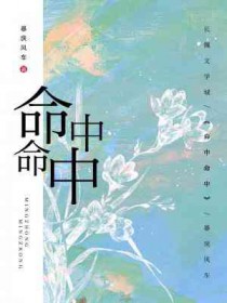 命中命中全文阅读