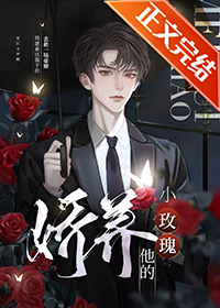 娇养他的小玫瑰全文阅读