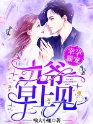 幸孕霸宠:九爷,早上见!全文阅读