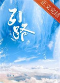 引路全文阅读