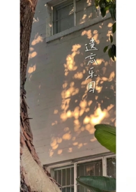 遗忘乐园(1v1h)全文阅读