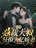 闪婚,总裁大叔狂撩失忆娇妻全文阅读