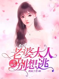 沈蔓歌叶南弦全文阅读