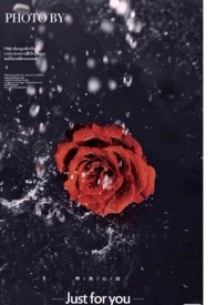 玫瑰花保养手册(恋与深空同人)全文阅读