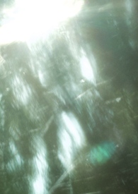 疼痛免疫(兄妹骨科1v1)全文阅读