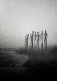 异变(科幻 恐怖 人外NP)全文阅读