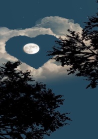 深情引诱(姐弟H)全文阅读