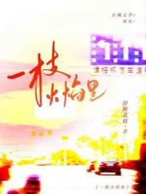 一枝火焰里全文阅读