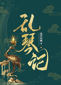 乱琴记全文阅读