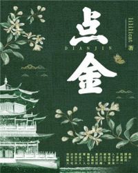 点金全文阅读