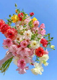 她是一朵难养的花(兄妹骨科h)全文阅读