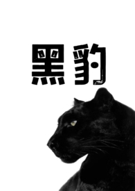 黑豹(1v1兽人h)全文阅读