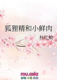 狐狸精和小鲜肉全文阅读