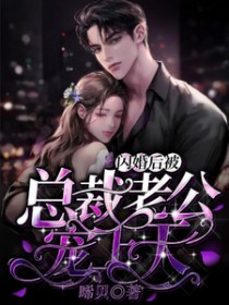 闪婚后被总裁老公宠上天全文阅读