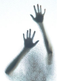 亲身示范全文阅读