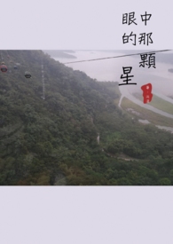 眼中的那颗星全文阅读