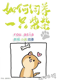 如何饲养一只柴柴全文阅读