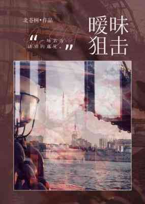 暧昧狙击全文阅读