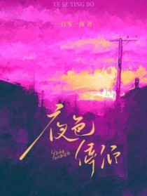夜色停泊全文阅读