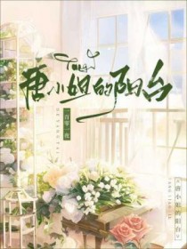 唐小姐的阳台全文阅读