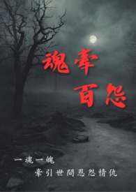 魂牵百怨全文阅读