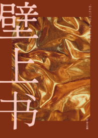 壁上书【古言 h】全文阅读