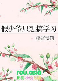 假少爷只想搞学习全文阅读