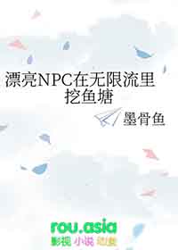 漂亮NPC在无限流里挖鱼塘全文阅读