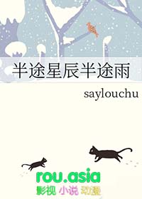 半途星辰半途雨全文阅读