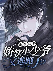 拒当玩物,娇软小少爷又逃跑了全文阅读
