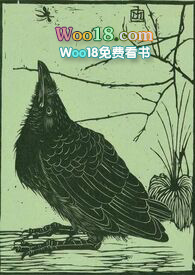 空壳全文阅读