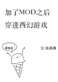 加了mod后穿进西幻冒险游戏(nph)全文阅读