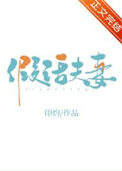 假话夫妻全文阅读