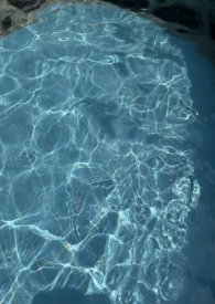 无风海全文阅读