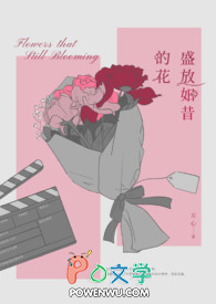 盛放如昔的花全文阅读
