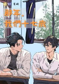 那年,我们十七岁全文阅读