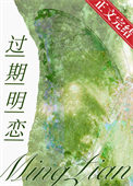 过期明恋全文阅读