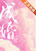 成婚全文阅读